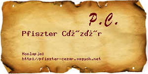Pfiszter Cézár névjegykártya